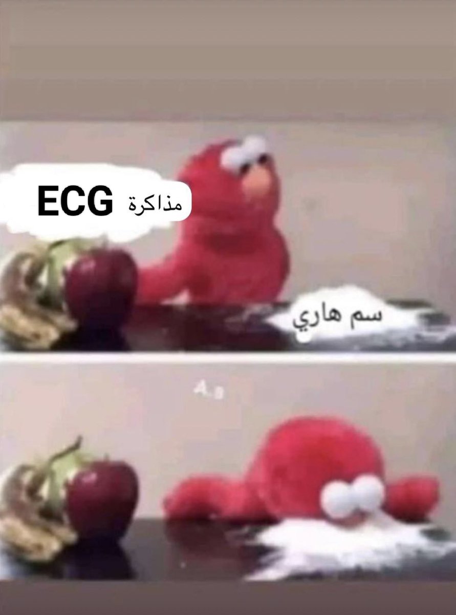 Esraa Wael tweet media