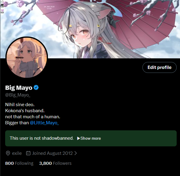 Big Mayo tweet media