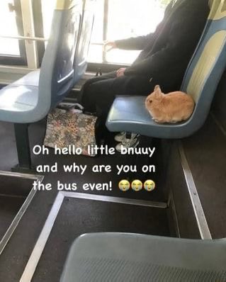 and why are you on the bus even!