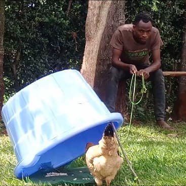 Boomer Gang tweet media