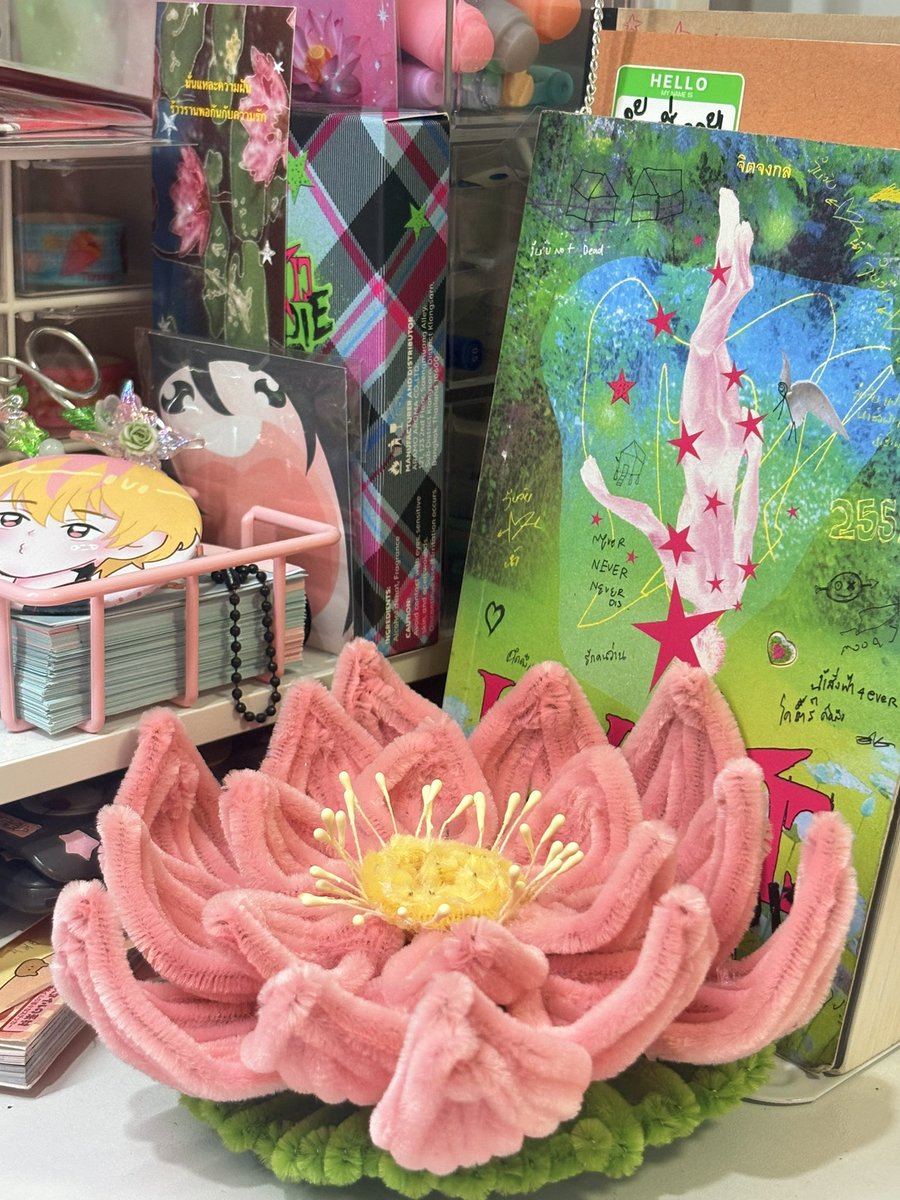 กล้องชั้นก่อนปรับสี vs กล้องชั้นหลังปรับสี 
คือจริงๆก่อนปรับสีมันใกล้เคียงของจริงกว่านะ แค่ซีดกว่านิดหน่อย แต่ชั้นชินกับแบบปรับสีไปแล้วถึงมันจะเกินจริงมาก555