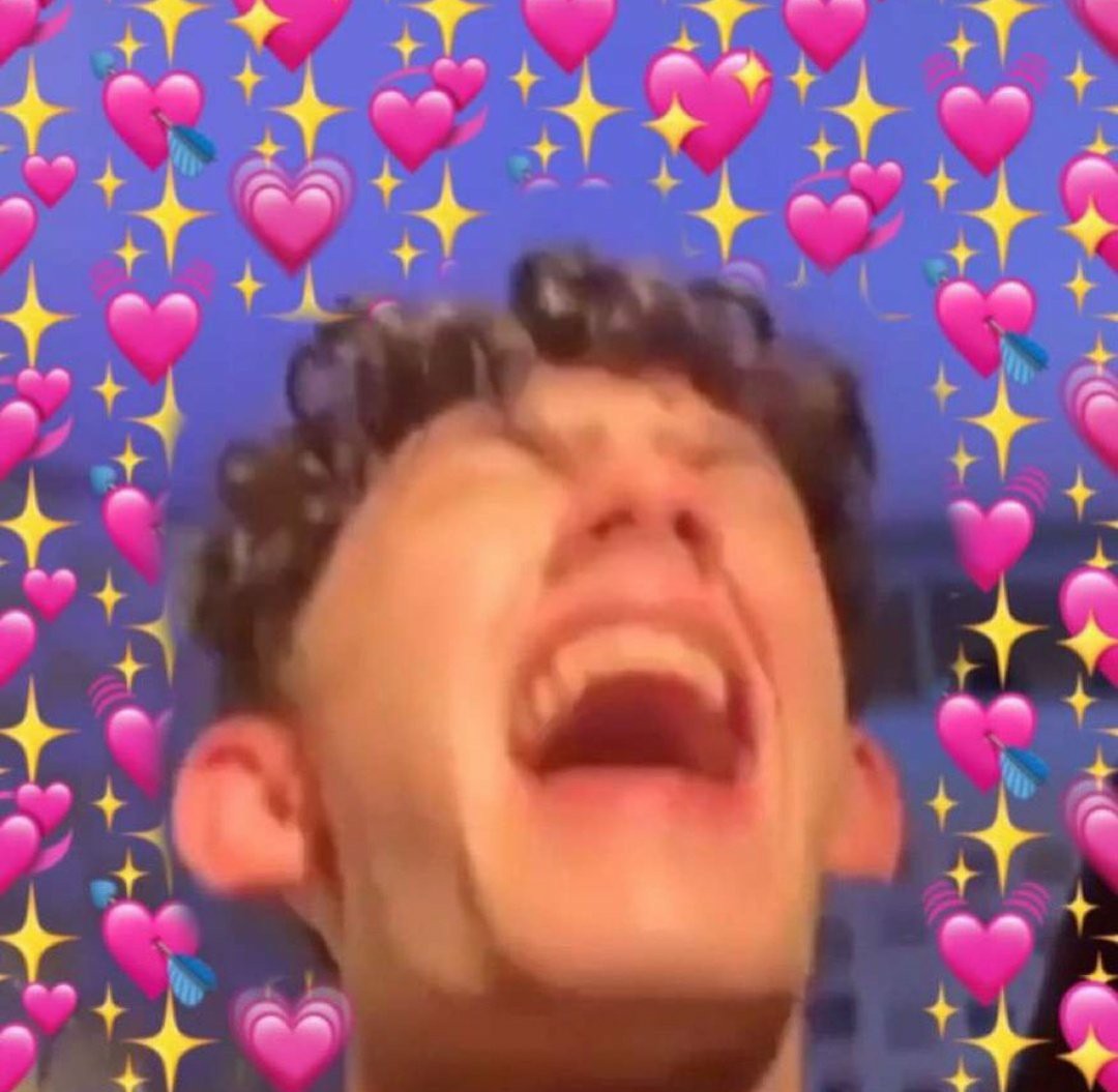 Lale Ribeiro tweet media