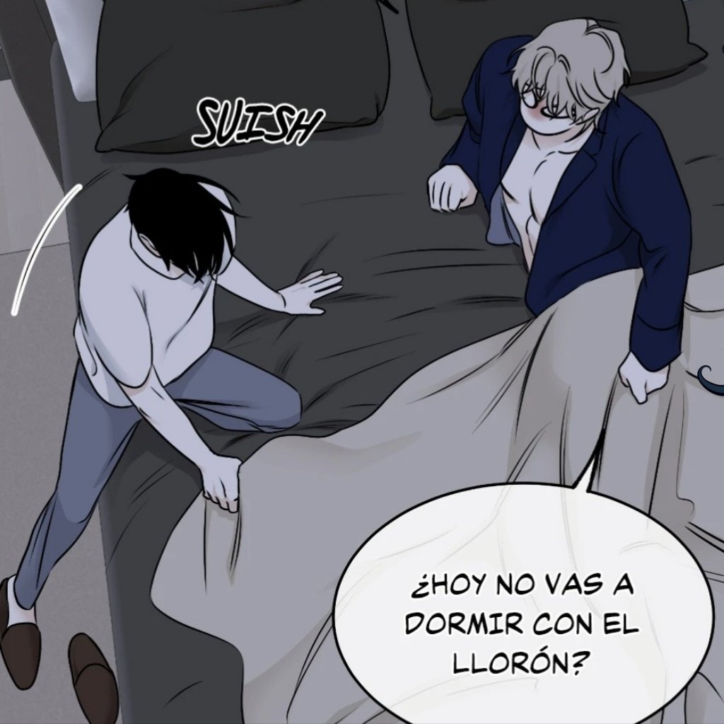 bee 🐝🍯 tweet media