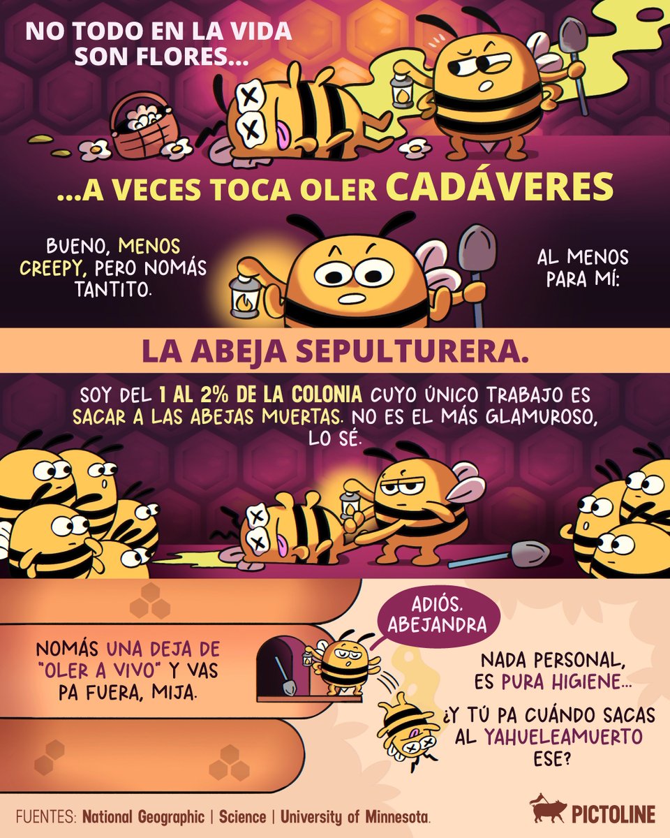pictoline tweet media