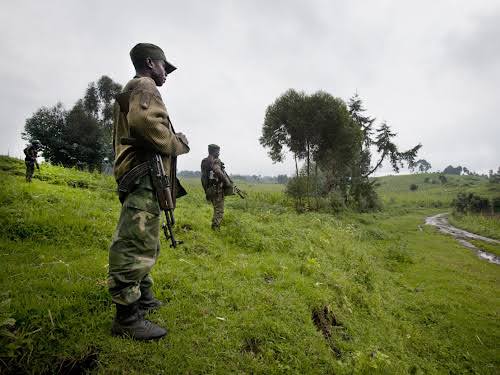 TAZAMA RDC Infos tweet media