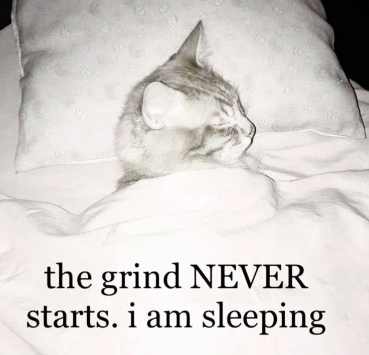 🦭ྀིྀིྀིྀིྀི tweet media