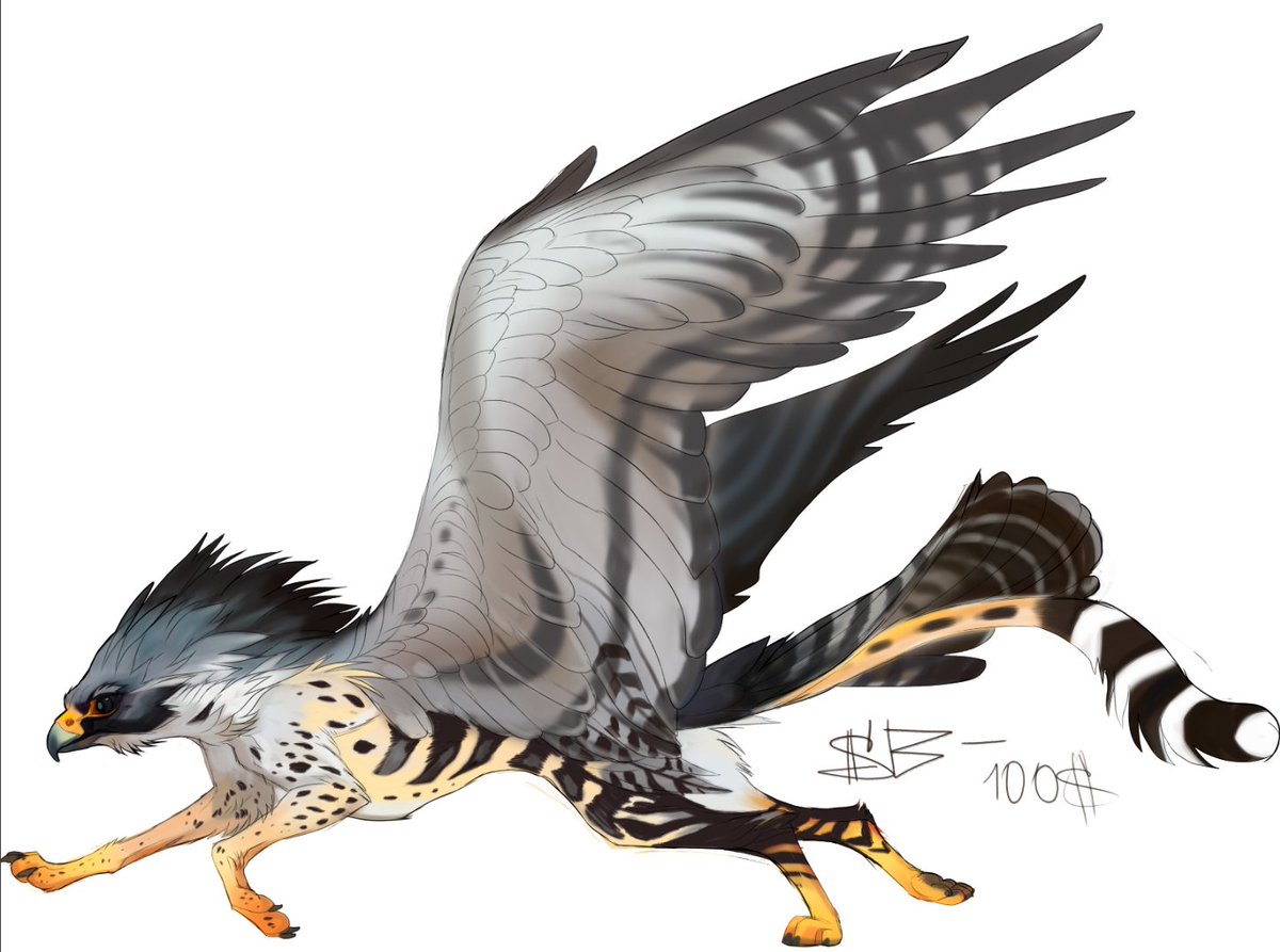 Work is underway on a fast monster hybrid of a peregrine falcon and a cheetah