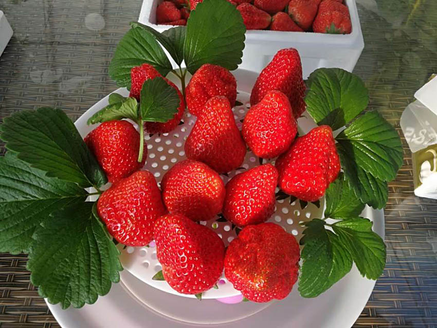 Mike Hall tweet media