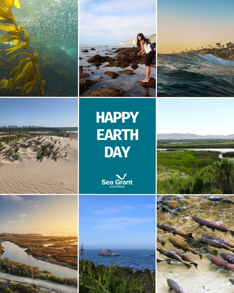 California Sea Grant tweet media