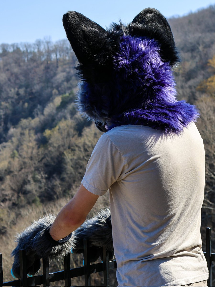 Spade The Yote tweet media