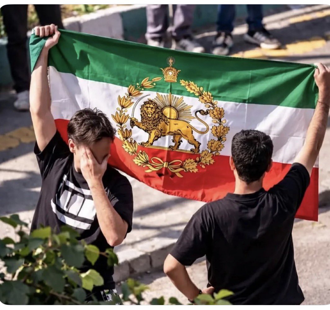 کسی که نمیتونه این عکس و تحلیل کنه و متوجه نیست که بعد اون کشتار و گذشت چهلم ها در دانشگاه این دانشجویان در روز روشن با وجود اینکه هویت تک تکشون مشخص بود چه خطری و به جون خریدن و این پرچم و دست گرفتن ، اساسا خودشو زده علی چپ