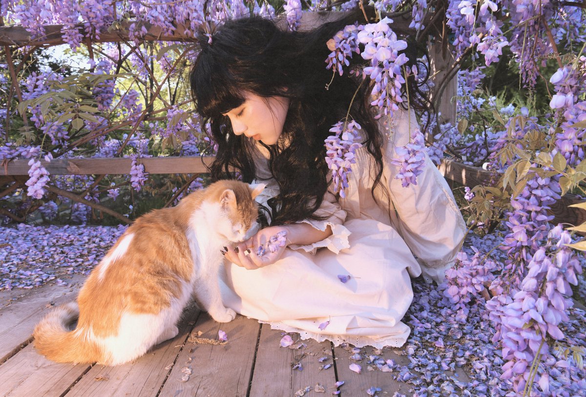 西游朽 tweet media