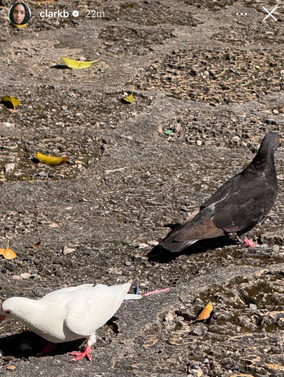 buckisthejuice's tweet image. no one was gonna tell me clark saw hudson. #fake