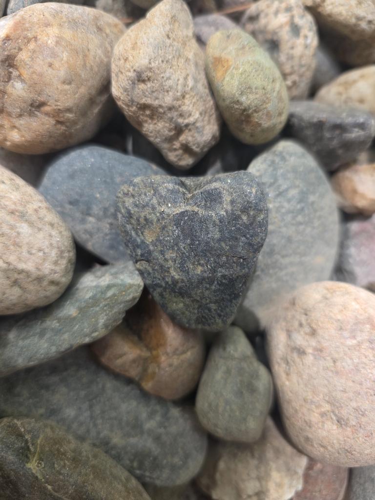 DeborahKozich's tweet image. facebook.com/share/p/1ECi7t…

#happyearthday #heartrocks 
Natures loving reminders ✨️