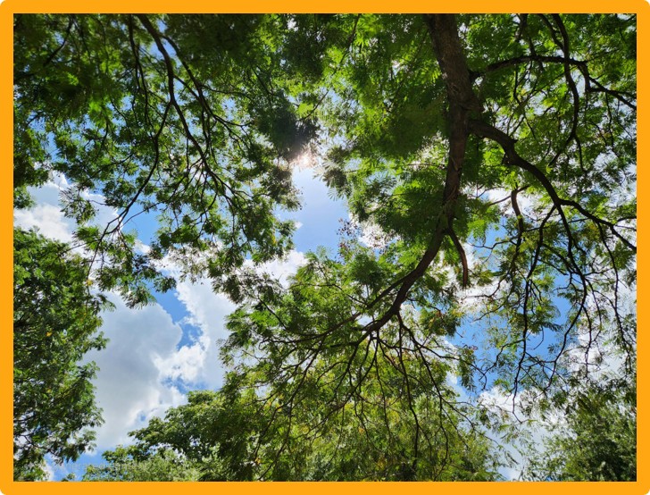 Earth Day sparks conversations about values, including how portfolios are built. Values-based investing is growing, but should still align with financial goals, risk tolerance, and long-term plans. It’s worth exploring how values and strategy can work together.