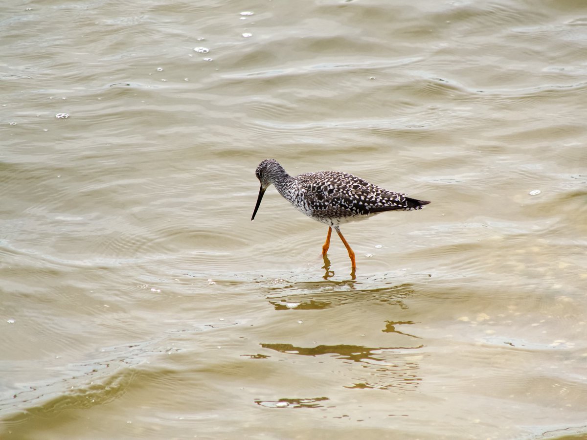 David K 🤔 tweet media