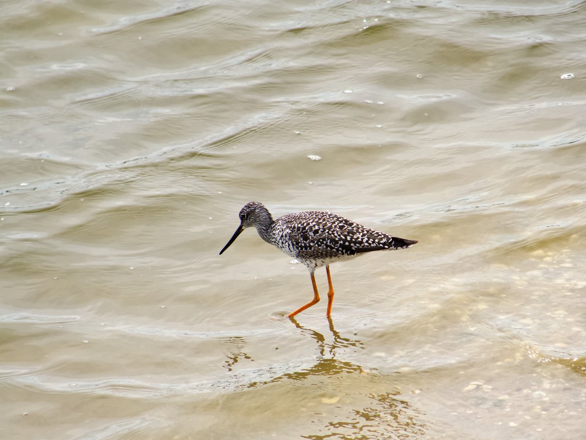 David K 🤔 tweet media