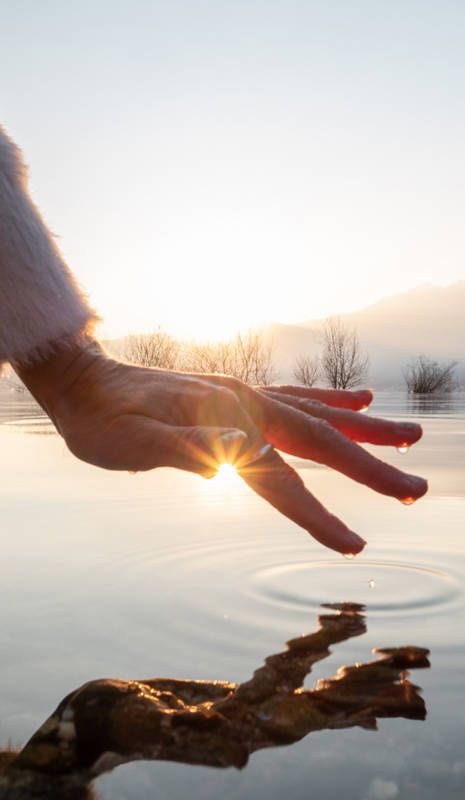 Cle Novoa tweet media