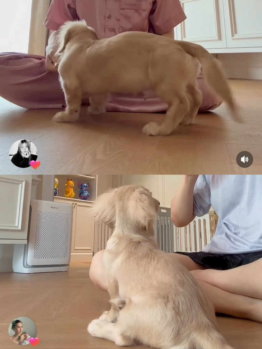 เก้ารัญชน์ tweet media