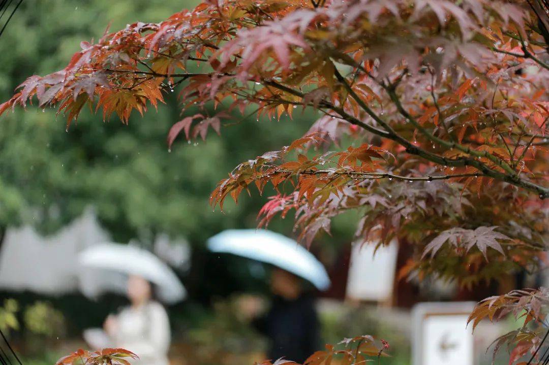 Arif Danial Sufian tweet media