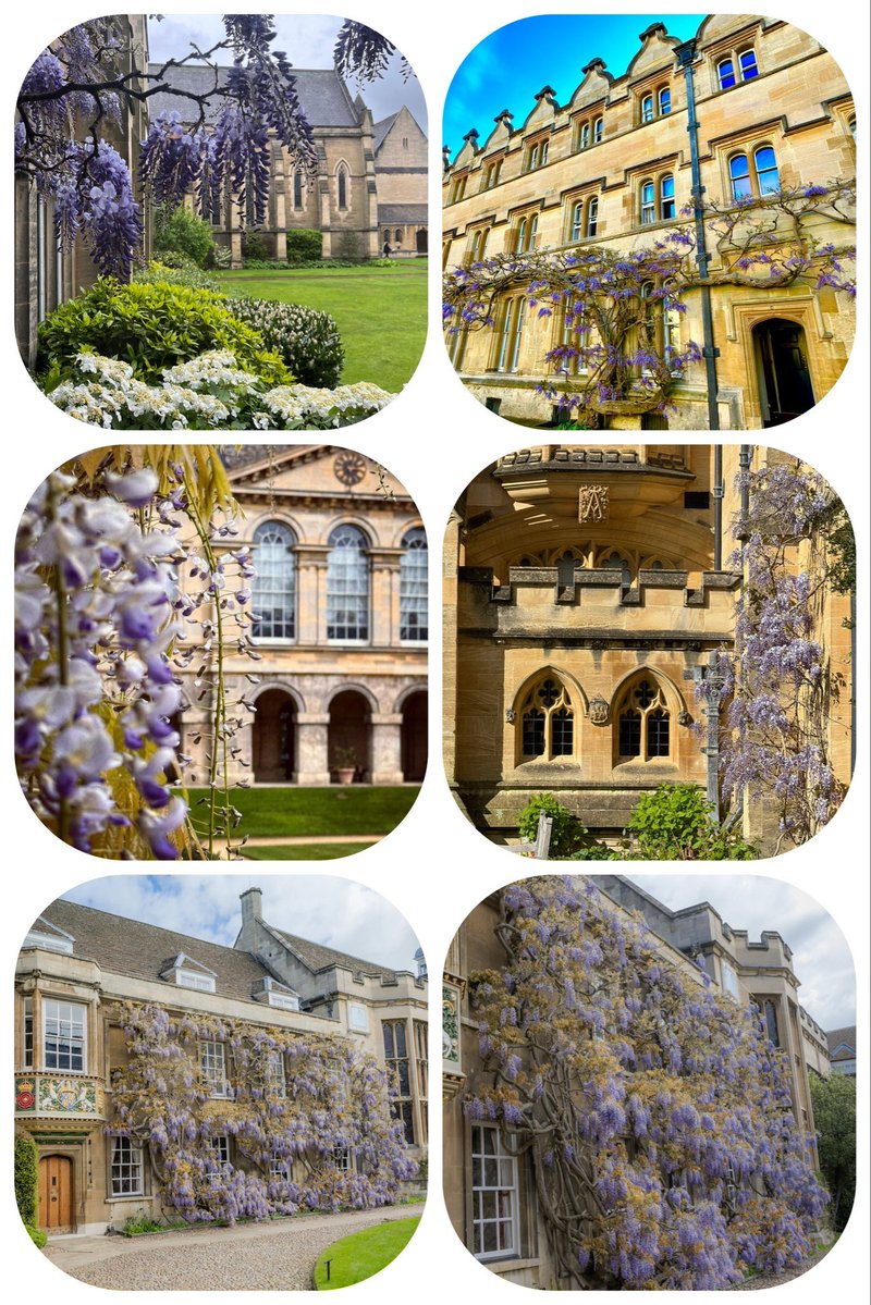 My Lens My Perspective tweet media