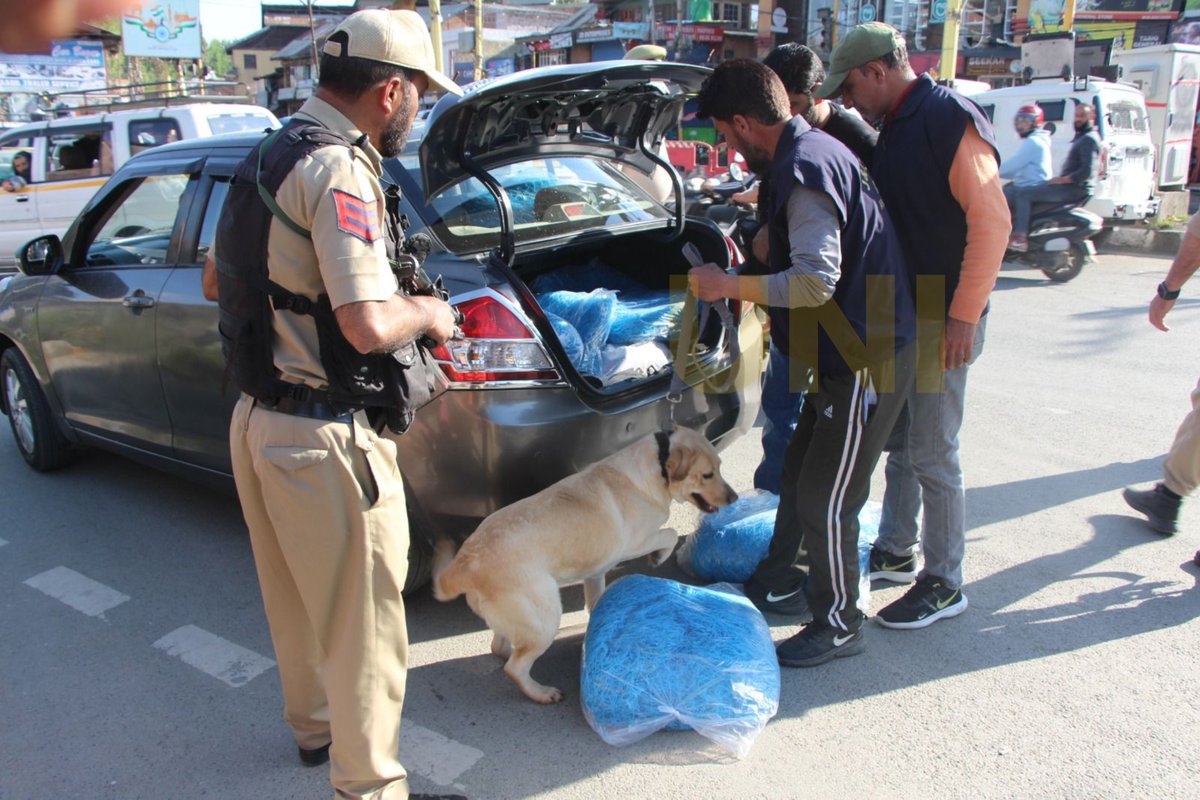 UNI_Photos's tweet image. In Photos | Police personnel, along with narcotic sniffer dog Bella, during an anti-drug operation conducted as part of the 'Nasha Mukt Bharat Abhiyan' in Anantnag today.

📸: Shah Junaid / UNI 

@JmuKmrPolice | #Anantnag | #JammuAndKashmir | #NashaMuktBharatAbhiyan | #DogBella |