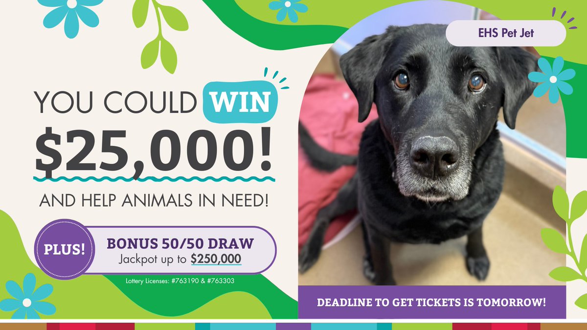 Edmonton Humane Society tweet media