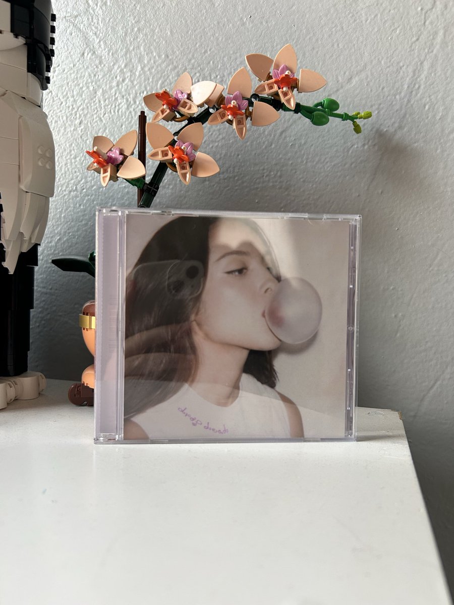 anna 🪽is so in love ~ tweet media