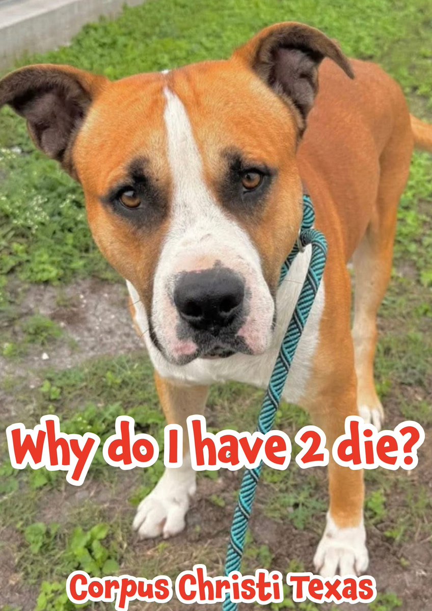 RoCo🇬🇧God Save The King🇬🇧 tweet media