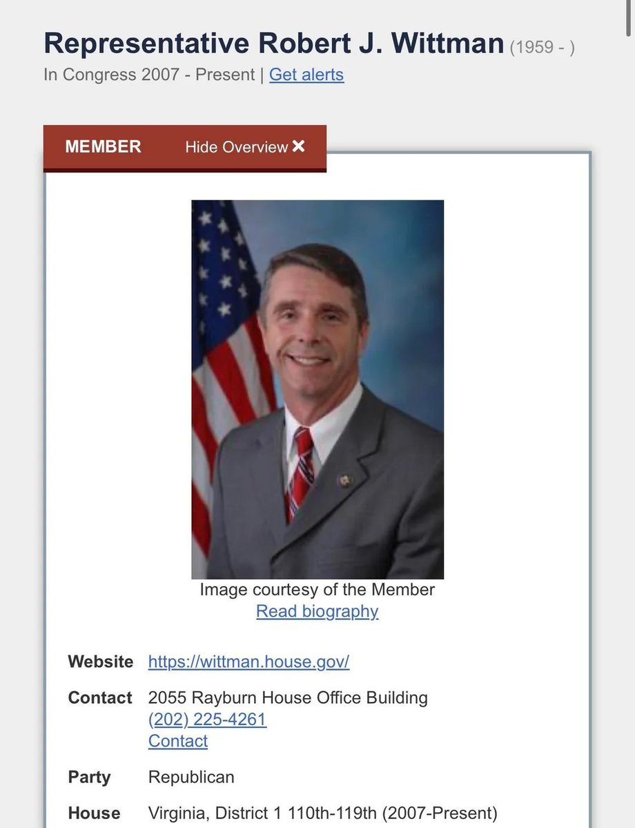 Anonymous tweet media