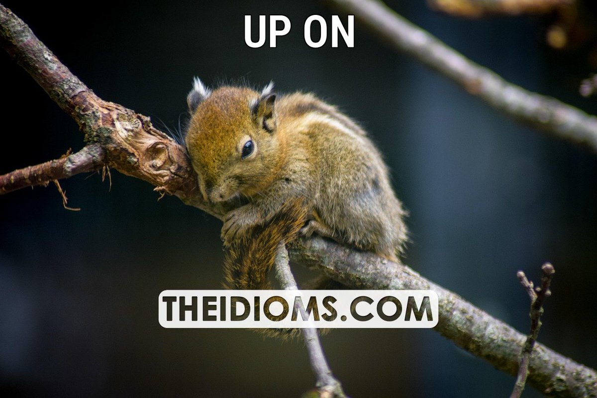 theidioms's tweet photo. UP ON: Meaning: to end a phone conversation with someone suddenly and without saying goodbye.
Example: It isn't very polite to hang up on people.
Read more: https://t.co/zoXK03VMxD
#upon #idioms #englishidioms #idiomsandphrases #phrasalverbs… https://t.co/K2KVcFOvmd https://t.co/6RqfxbSHNe