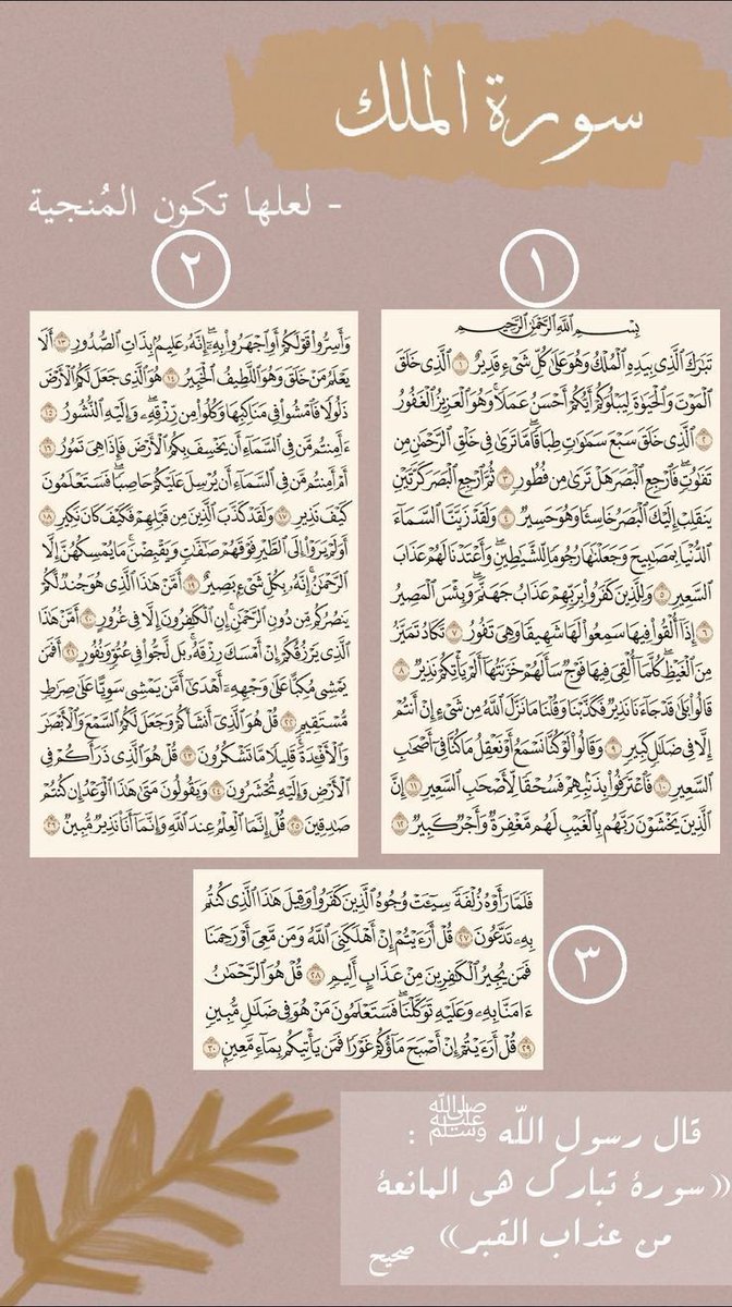 Clara ᥫ᭡ ָ ֙⋆ ་ tweet media