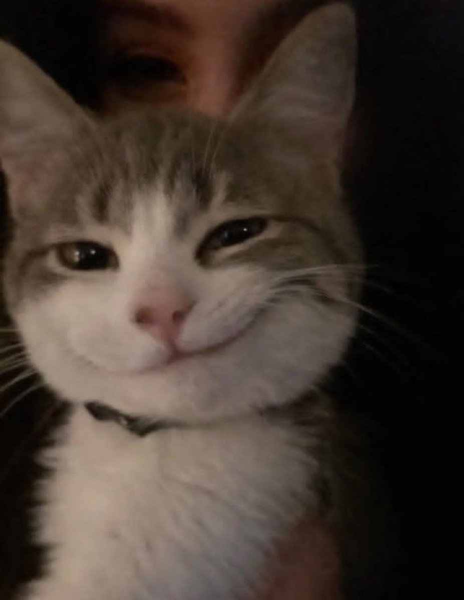 My Top 2 of the season is gonna be Morphine and Dawn idk like gimme Body Pt2 for the finale lip sync #dragrace #allstars11