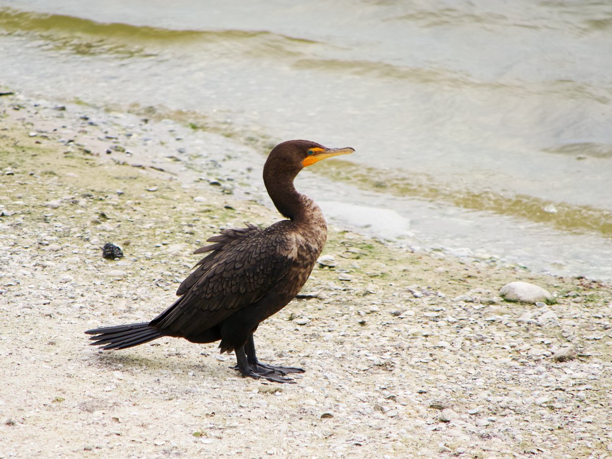 David K 🤔 tweet media