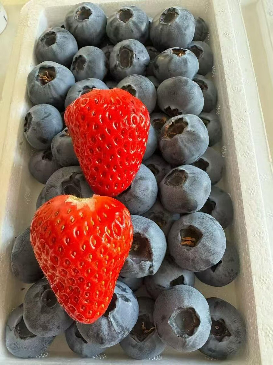 달콤이 tweet media