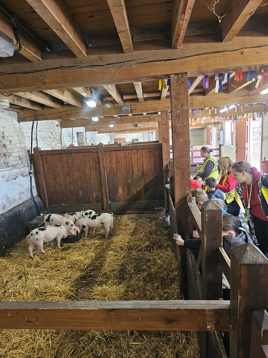 BirstallAcad13's tweet image. Reception have had a brilliant day exploring @TempleNewsam Farm🐄

From meeting the animals to exploring the park, the children (and staff) loved every moment.

It was wonderful to see their confidence grow as they experienced farm life first-hand! #SchoolTrip