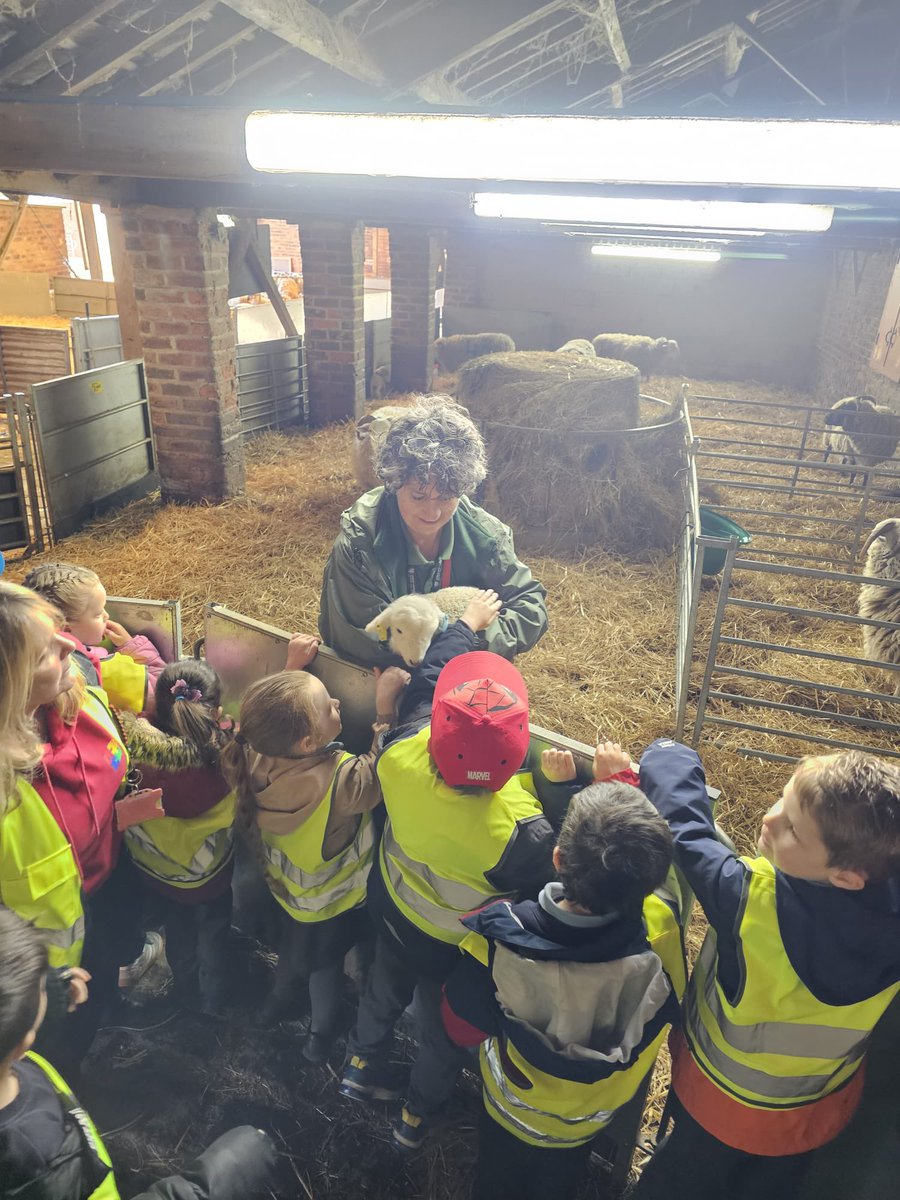 BirstallAcad13's tweet image. Reception have had a brilliant day exploring @TempleNewsam Farm🐄

From meeting the animals to exploring the park, the children (and staff) loved every moment.

It was wonderful to see their confidence grow as they experienced farm life first-hand! #SchoolTrip