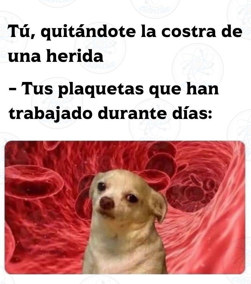 Enséñame de Ciencia tweet media