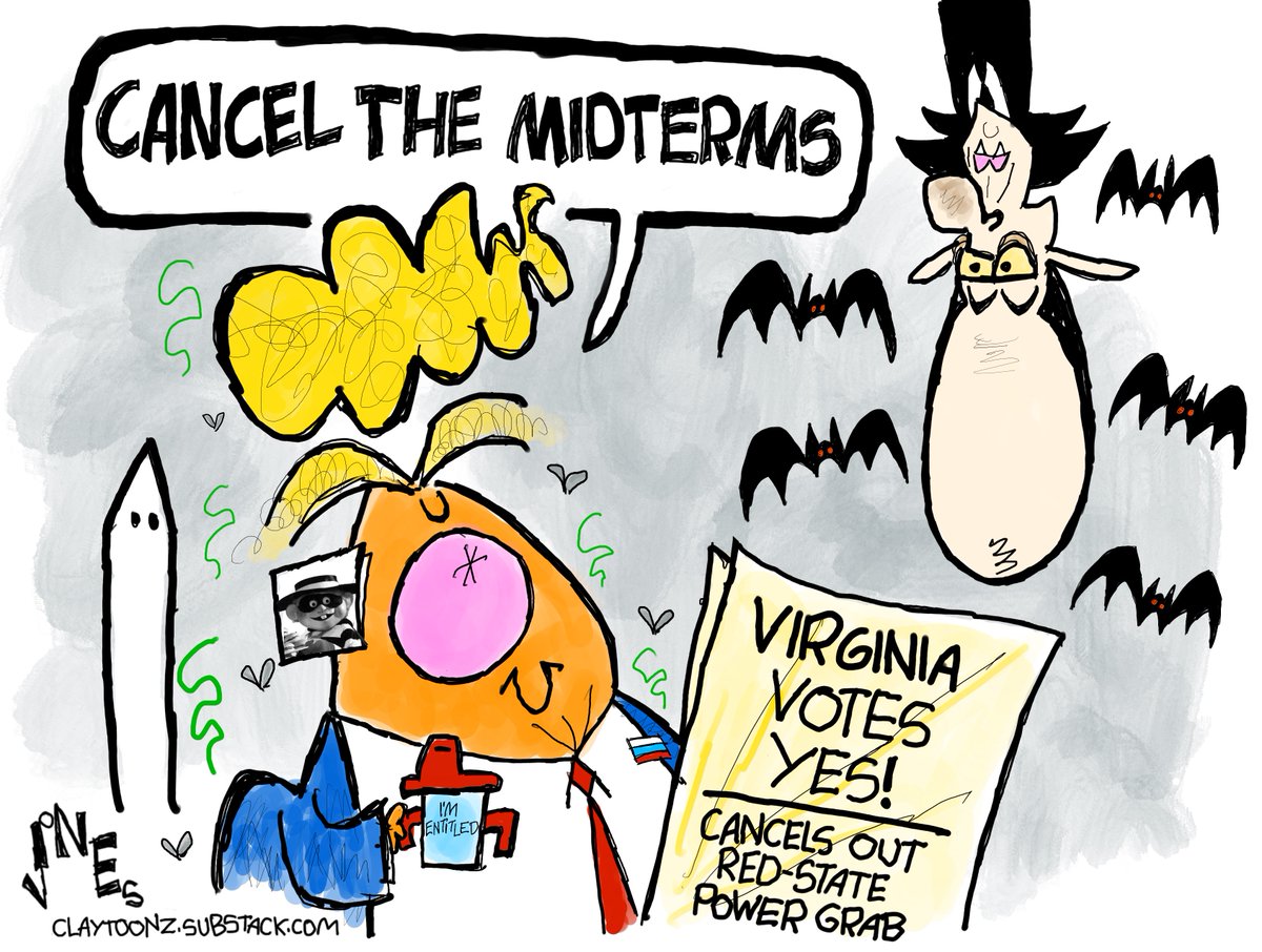 claytoonz's tweet image. Now that Virginia has voted yes, what will be Donald Trump's next attempt to steal the midterms? #Virginia #Midterms #Trump #StephenMiller