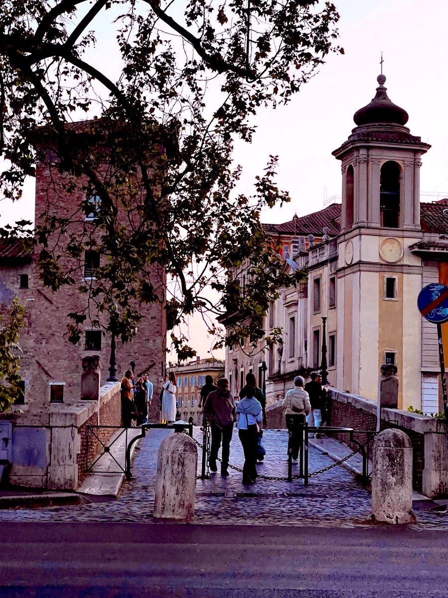 MinervaArmata's tweet image. #Roma Isola Tiberina 
#buonaserata #goodnight