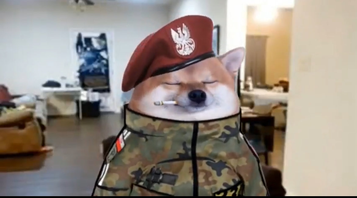 WarKriminalShepardN7 tweet media