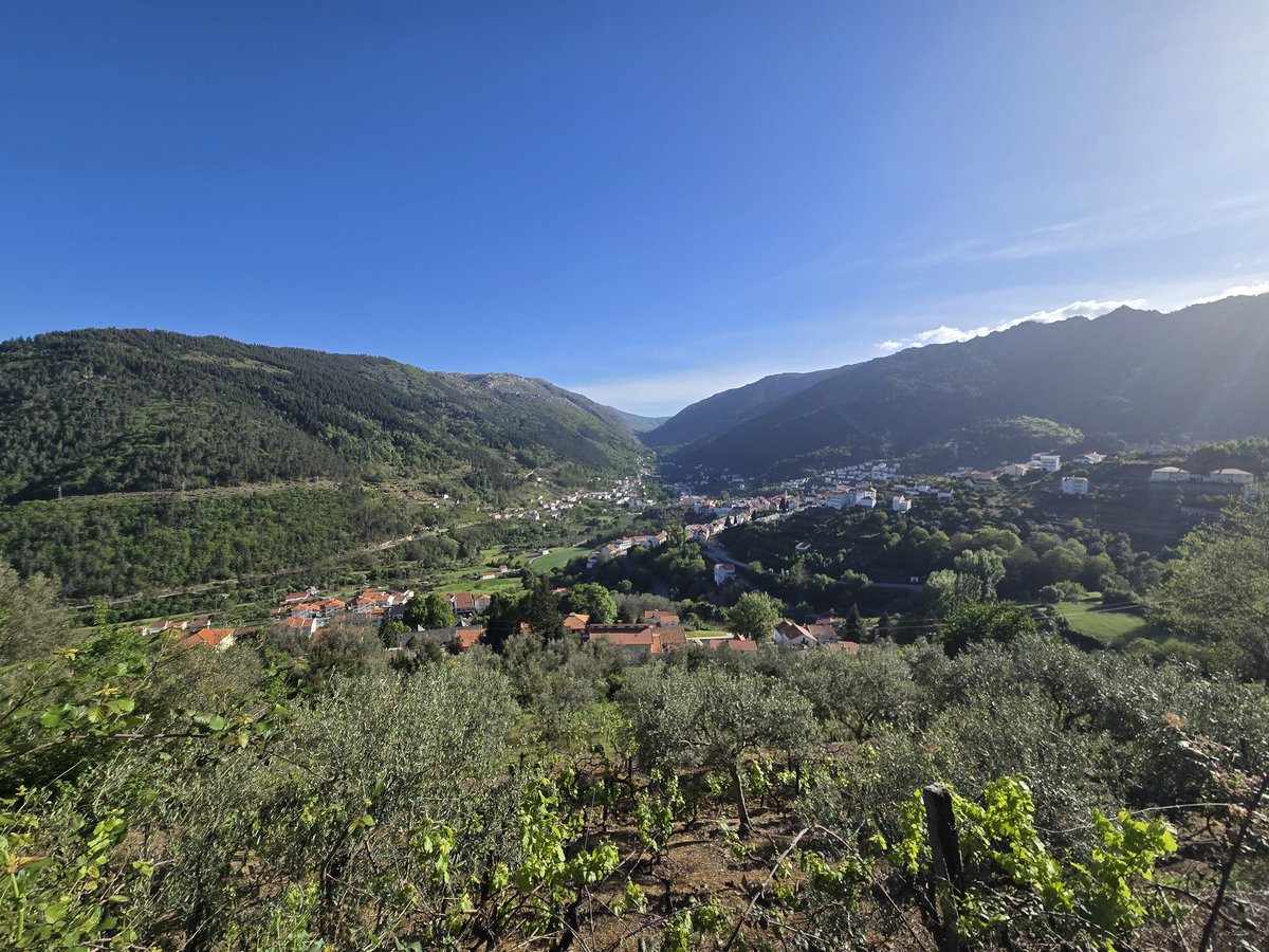 Santiago tweet media