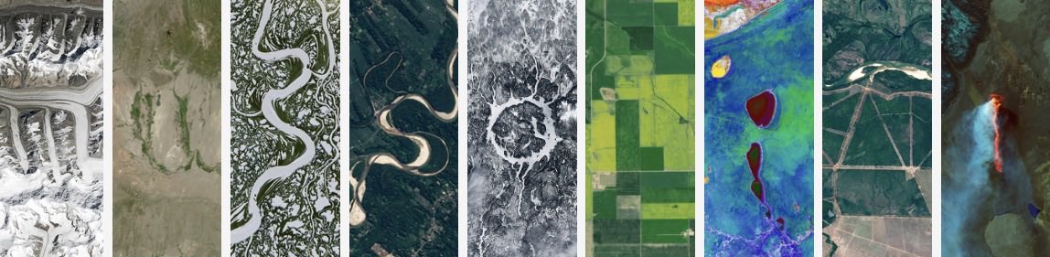 The Emergent New Man 🇪🇪 tweet media