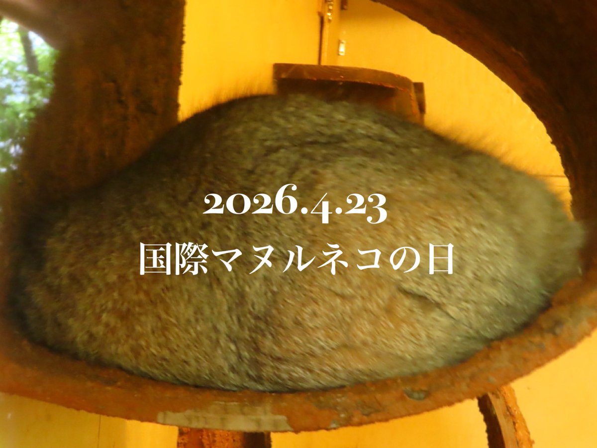 ゆーや★ tweet media