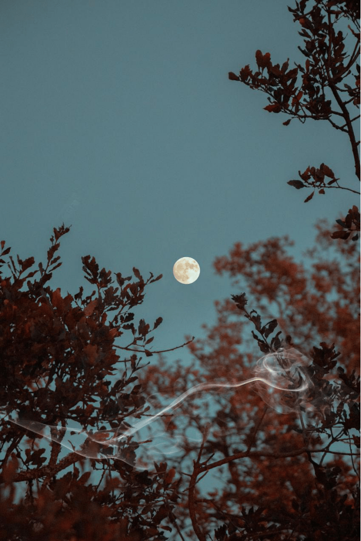 Voleta Alda Lathifah tweet media