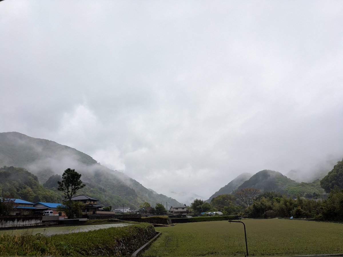 三嶋製麺所 tweet media