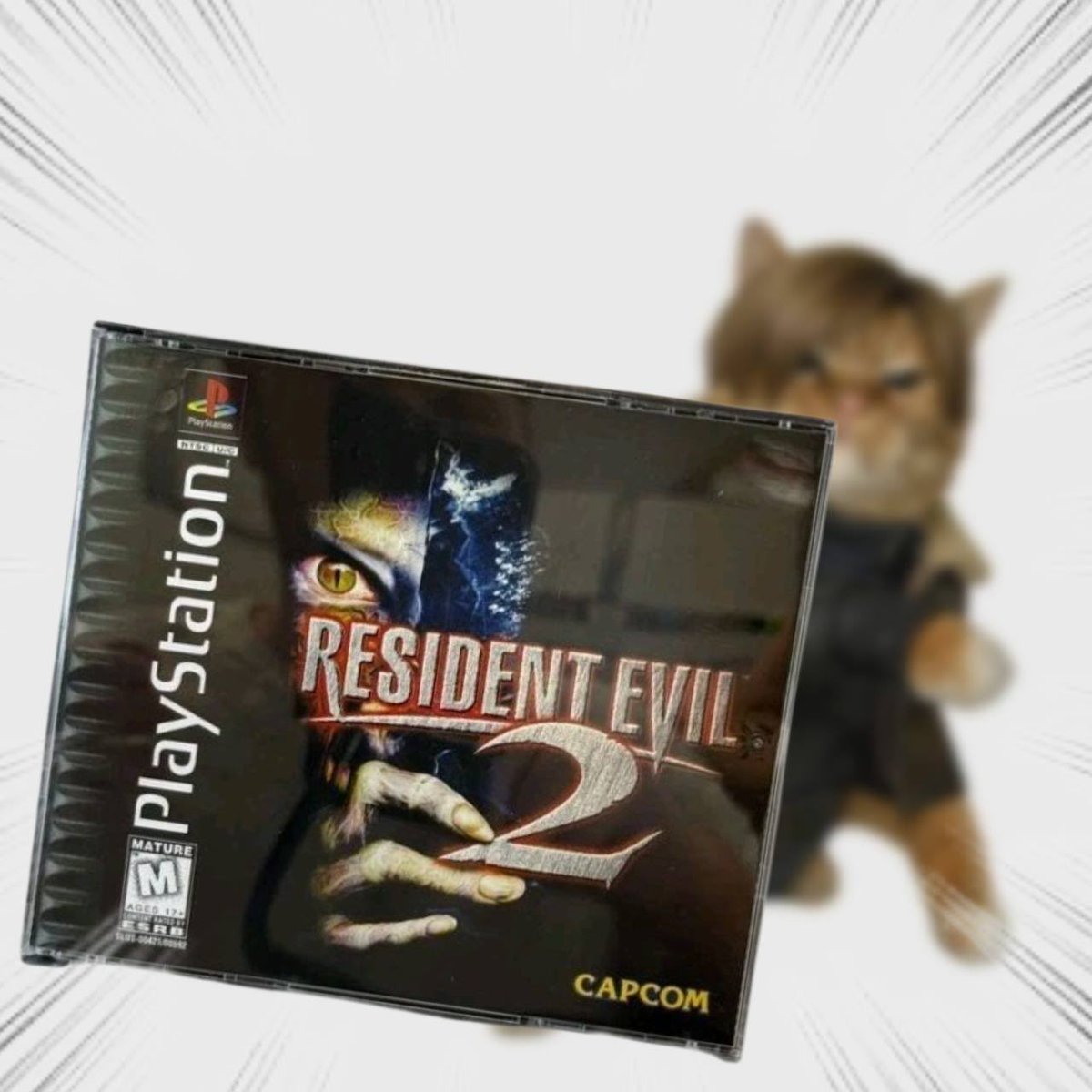 Throwing Things Daily tweet media