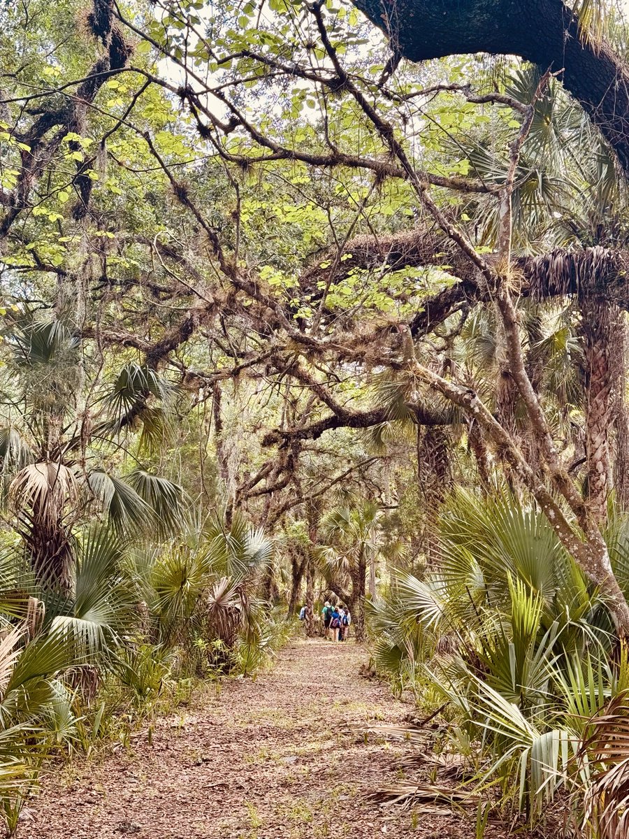 dolbyl's tweet image. Happy Earth 🌎 Day!!! #optoutside #getoutside #nature #NaturePhotography #lovefl #hikefl #hikeflorida #floridatrails #trailslikethese #earthday