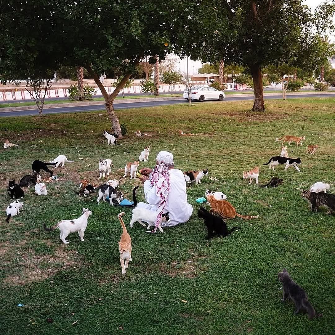 بحر 🌊 tweet media