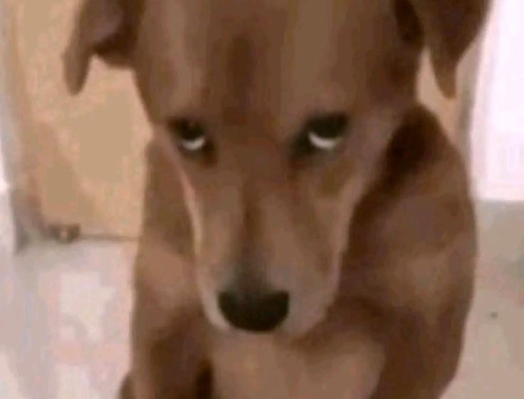 ⊹ ysa jikook au's⁷ 📌 tweet media